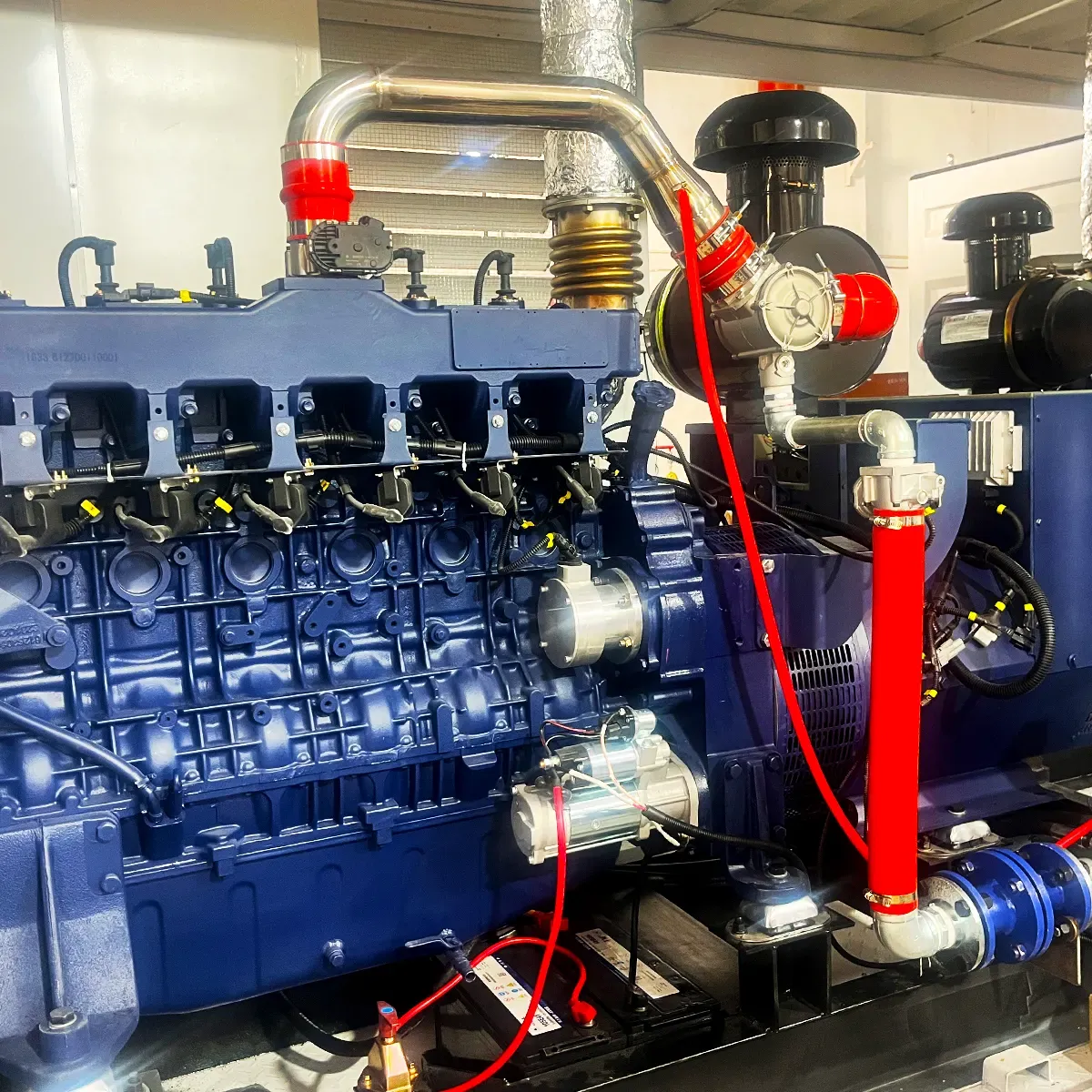 300kW Liquified Petroleum Gas Generator Set